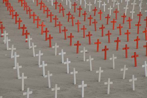 united states white and red cross cemetery field white